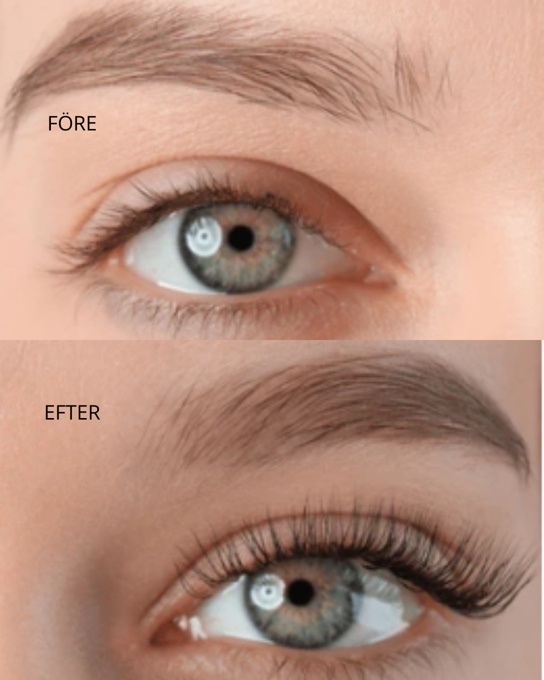 NoJu Brow Duo-sæt – Brynserum og Bryngel